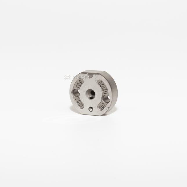 Denso valve plate orifice 507#