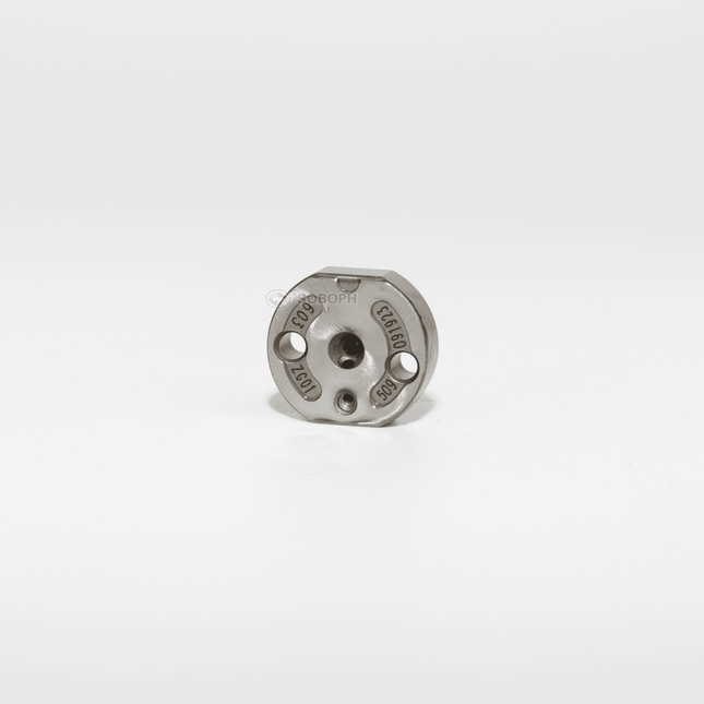 Denso valve plate orifice 509#
